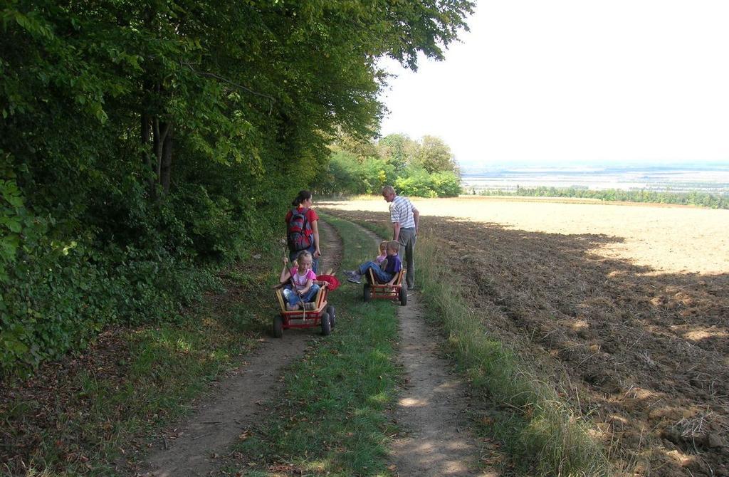 Weinbauernhof Vier Jahreszeiten Bauernhof Staatz