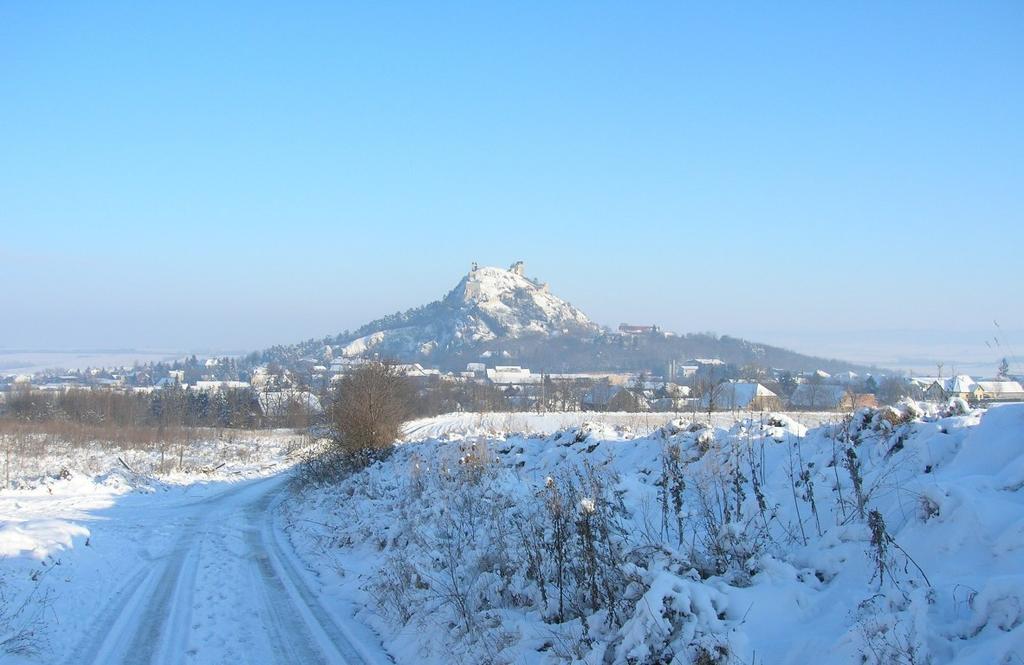 Bauernhof Weinbauernhof Vier Jahreszeiten *