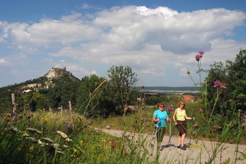 Weinbauernhof Vier Jahreszeiten Bauernhof